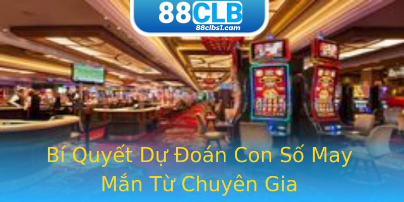 Bí Quyết Dự Đoán Con Số May Mắn Từ Chuyên Gia Bí Quyết Dự Đoán Con Số May Mắn Từ Chuyên Gia