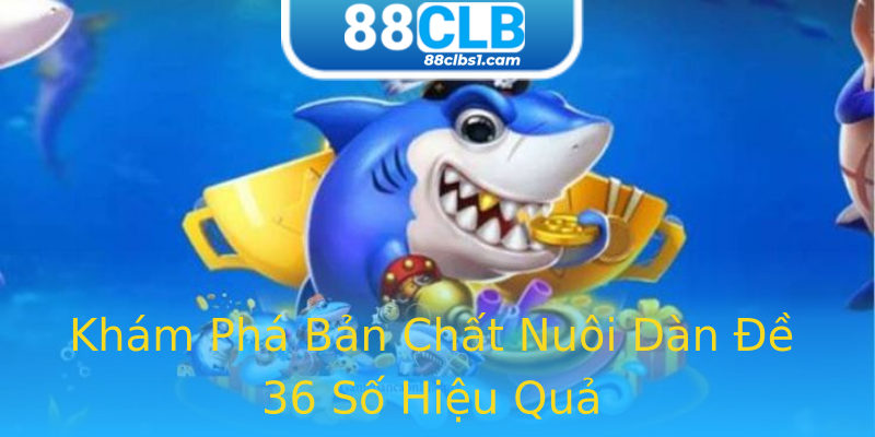Khám Phá Bản Chất Nuôi Dàn Đề 36 Số Hiệu Quả Khám Phá Bản Chất Nuôi Dàn Đề 36 Số Hiệu Quả